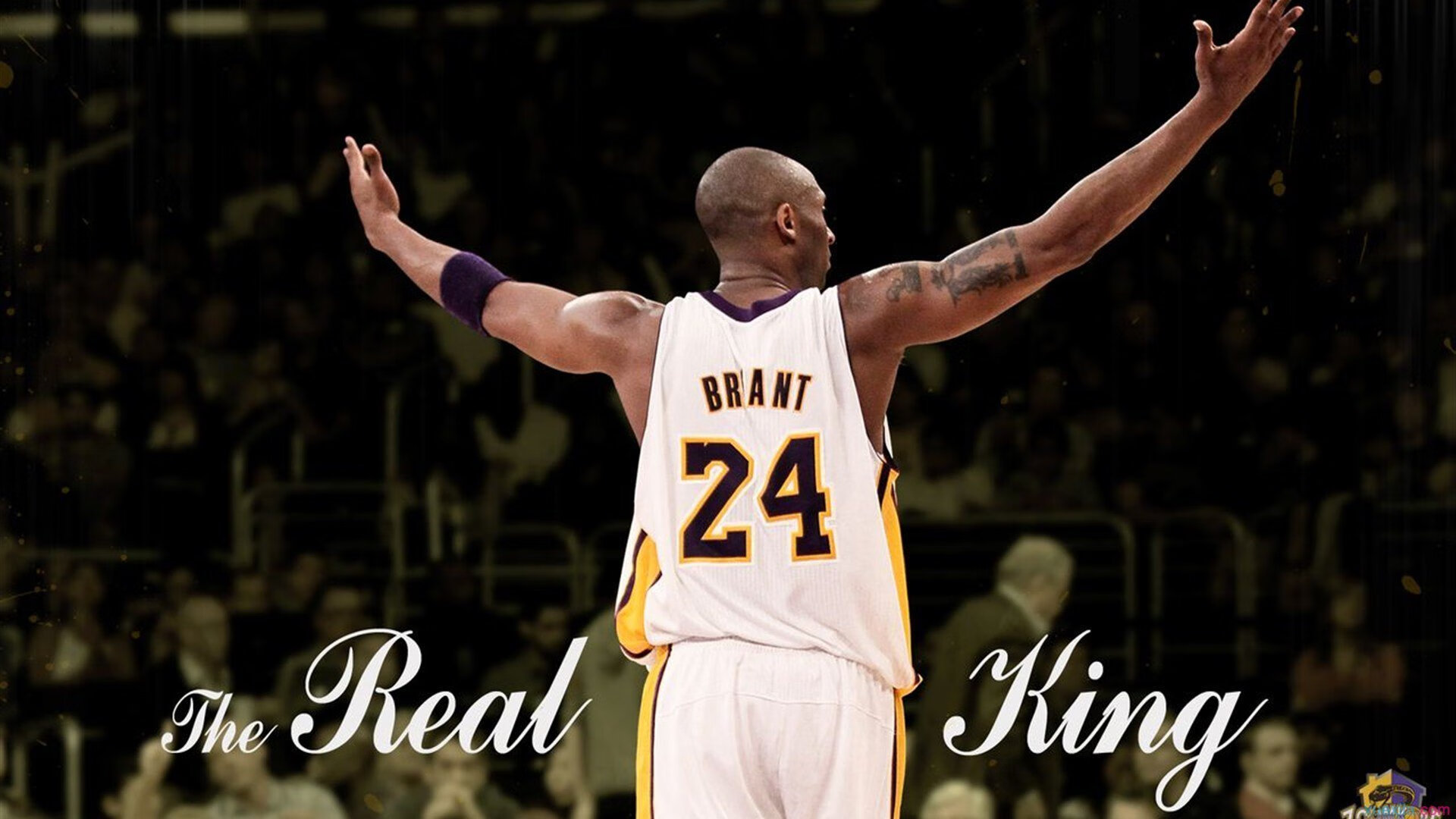 体育仲裁裁决引发争议，运动员权益与公平竞赛的平衡之战