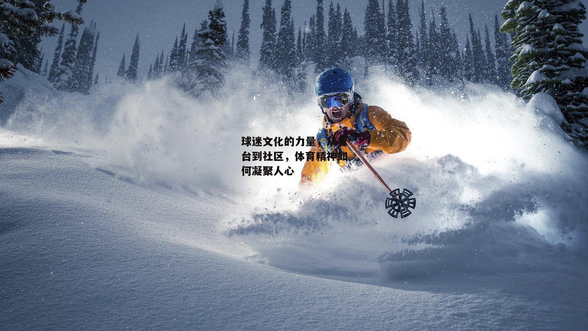 球迷文化的力量，从看台到社区，体育精神如何凝聚人心_壹号娱乐app