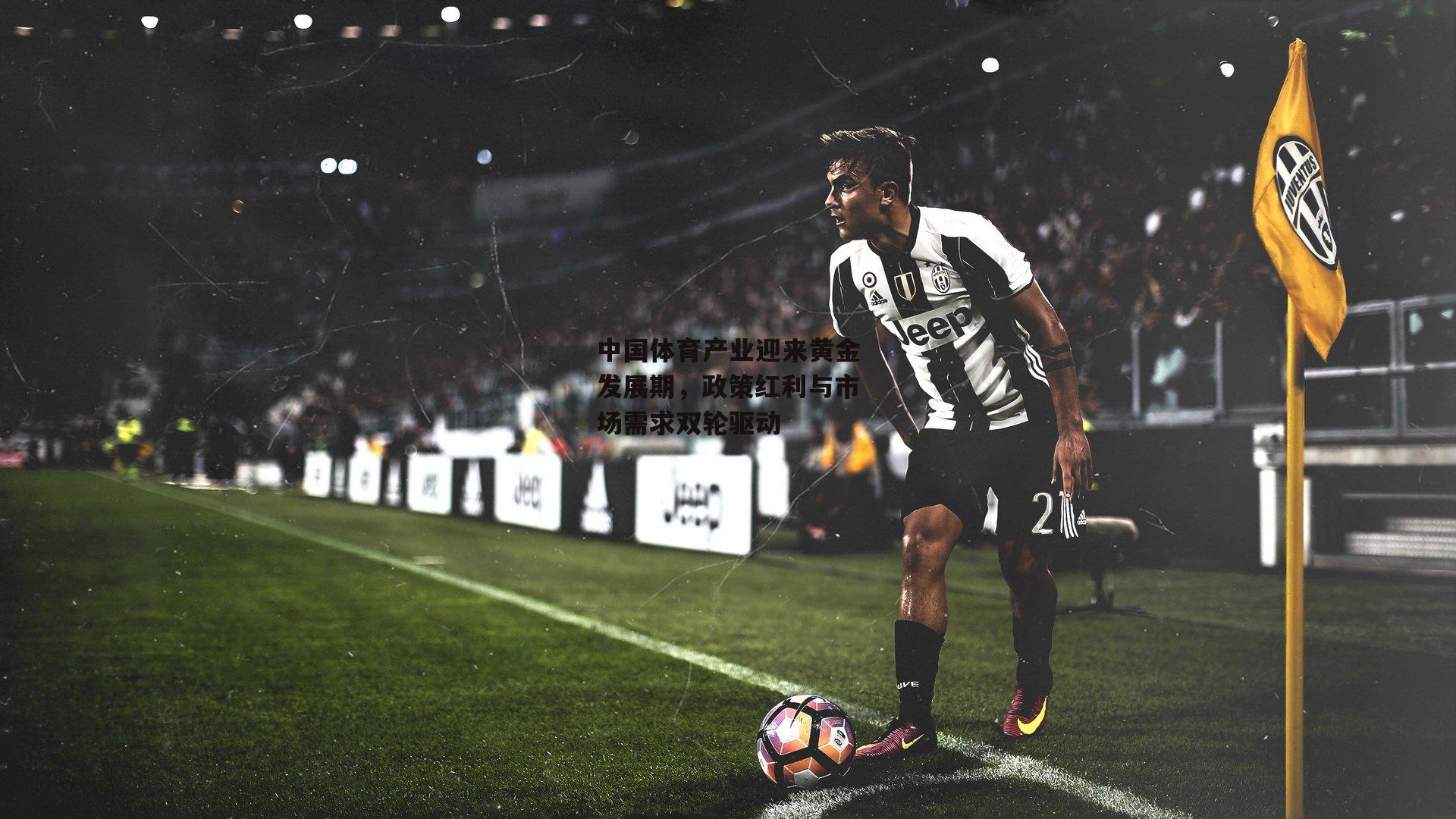 中国体育产业迎来黄金发展期，政策红利与市场需求双轮驱动